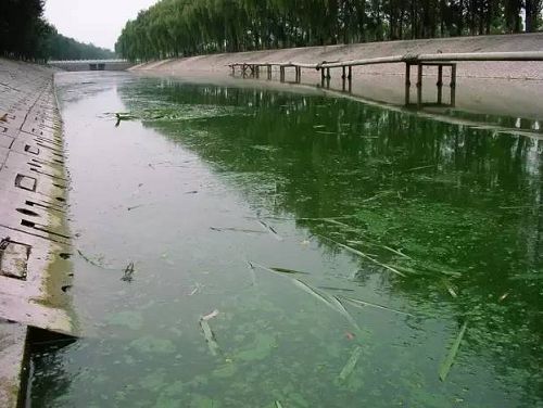 城市黑臭河道如何治理？河道黑臭水體治理思路(圖1)