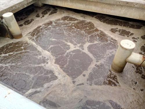 什么是制革廢水?制革廢水特點(diǎn)與處理工藝(圖1) 什么是制革廢水?制革廢水特點(diǎn)與處理工藝(圖1)