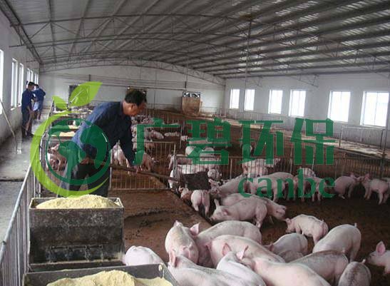 什么是養殖廢水？養殖廢水處理工藝(圖1)