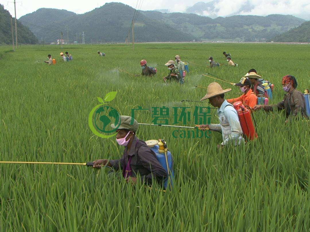 農藥廢水是什么?農藥廢水特點與處理工藝(圖1) 農藥廢水是什么?農藥廢水特點與處理工藝(圖1)