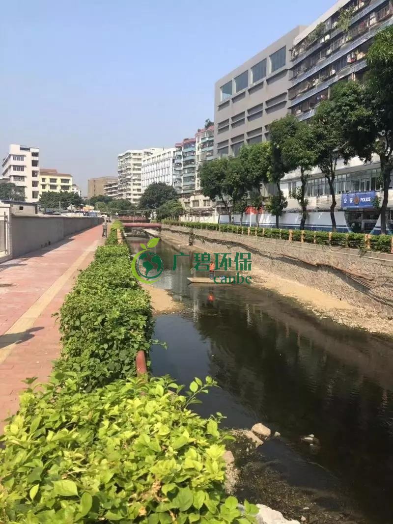 廣州白云區棠景沙涌已完成雨污分流(圖2) 廣州白云區棠景沙涌已完成雨污分流(圖2)