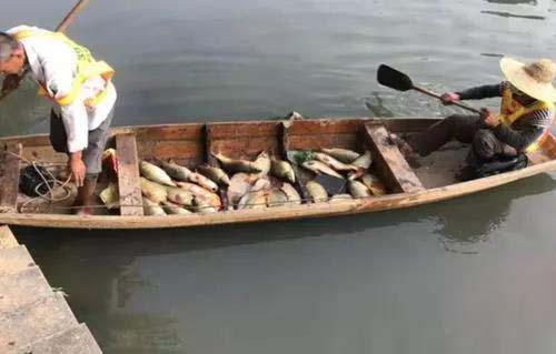 廣州旺旺食品廢水直排，永和河大量魚類死亡