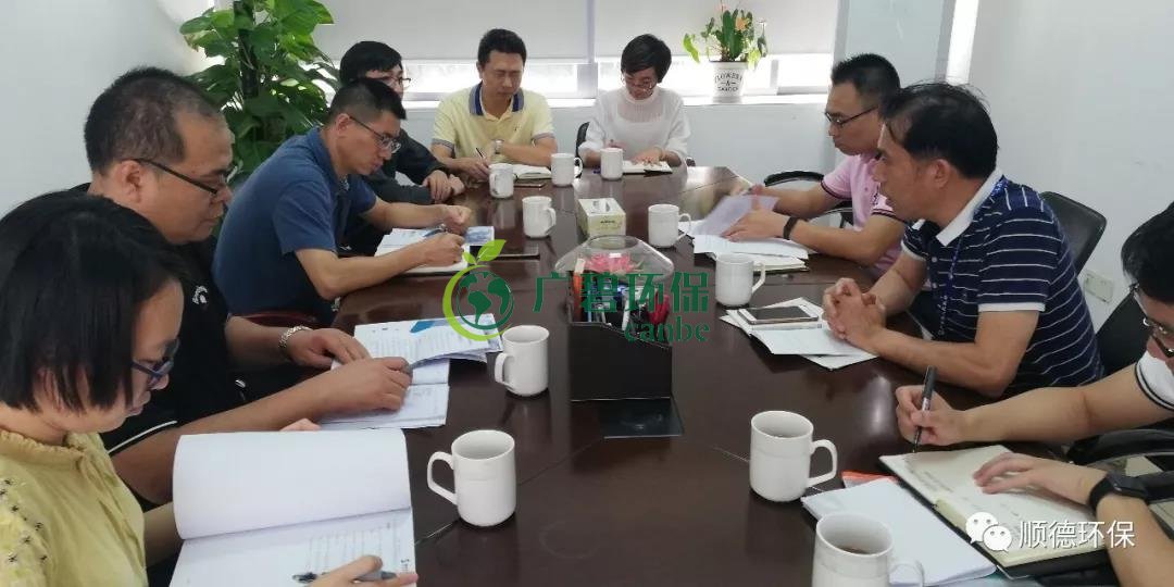 佛山市生態環境局陳振華副局長來順德開展“不忘初心、牢記使命”主題教育現場調研(圖4)