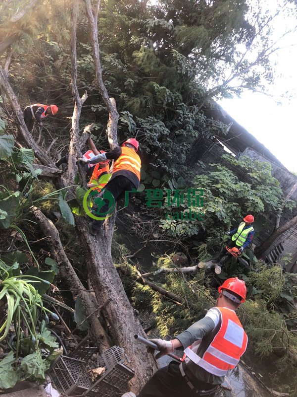 廣碧環(huán)保在順德古鑒涌項目現(xiàn)場召開施工生產(chǎn)動員大會(圖3) 廣碧環(huán)保在順德古鑒涌項目現(xiàn)場召開施工生產(chǎn)動員大會(圖3)