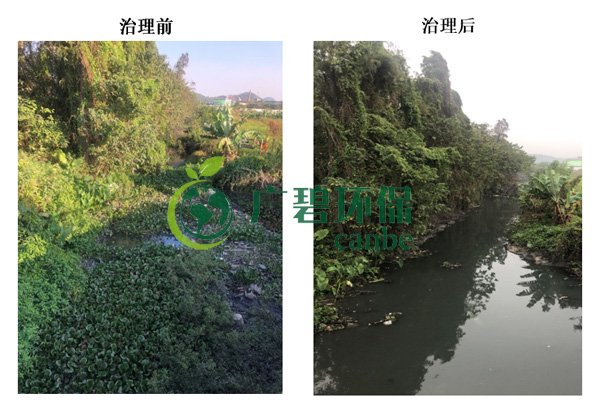 廣碧環保金陡涌河涌黑臭水體 治理服務項目順利通過驗收(圖7) 廣碧環保金陡涌河涌黑臭水體 治理服務項目順利通過驗收(圖7)