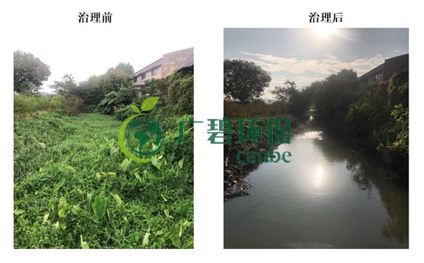 廣碧環保金陡涌河涌黑臭水體 治理服務項目順利通過驗收(圖8) 廣碧環保金陡涌河涌黑臭水體 治理服務項目順利通過驗收(圖8)