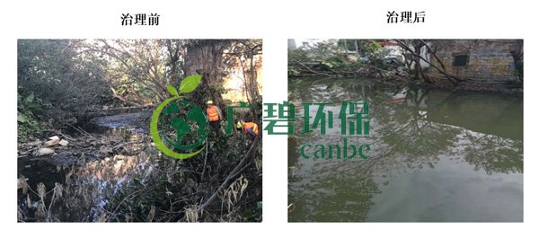 廣碧環保金陡涌河涌黑臭水體 治理服務項目順利通過驗收(圖3) 廣碧環保金陡涌河涌黑臭水體 治理服務項目順利通過驗收(圖3)