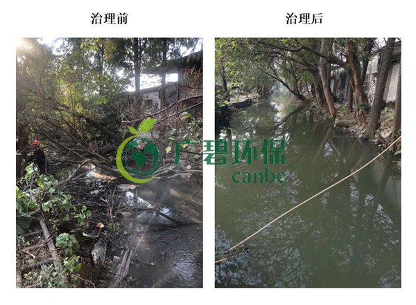 廣碧環保金陡涌河涌黑臭水體 治理服務項目順利通過驗收(圖4) 廣碧環保金陡涌河涌黑臭水體 治理服務項目順利通過驗收(圖4)