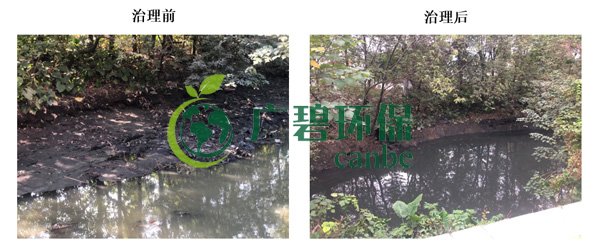 廣碧環保金陡涌河涌黑臭水體 治理服務項目順利通過驗收(圖6) 廣碧環保金陡涌河涌黑臭水體 治理服務項目順利通過驗收(圖6)