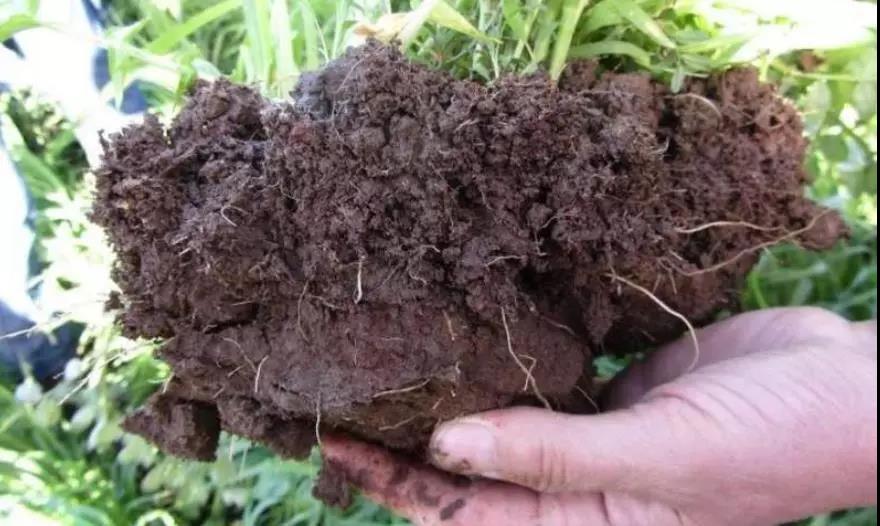 土壤侵蝕是什么？什么導致了土壤侵蝕？