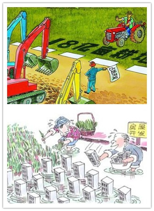 土壤侵蝕是什么？什么導致了土壤侵蝕？(圖3)