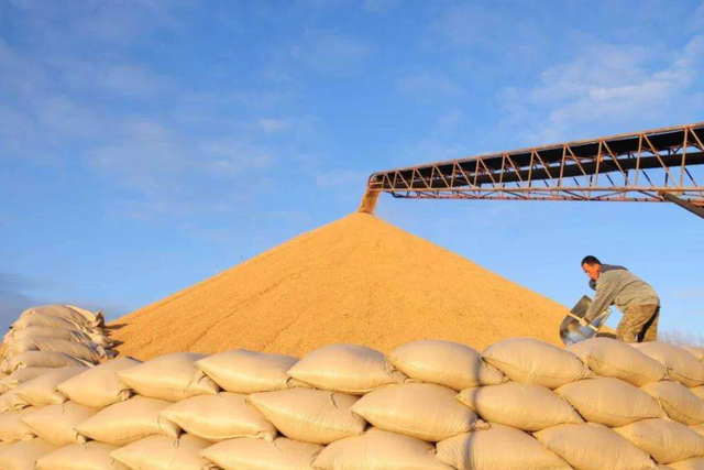 土壤修復(fù)市場，該火了！