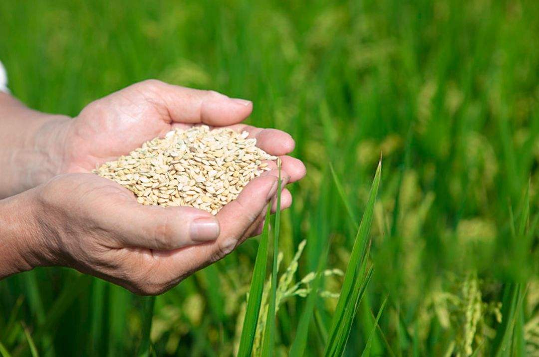 土壤修復(fù)市場(chǎng)，該火了！(圖3)